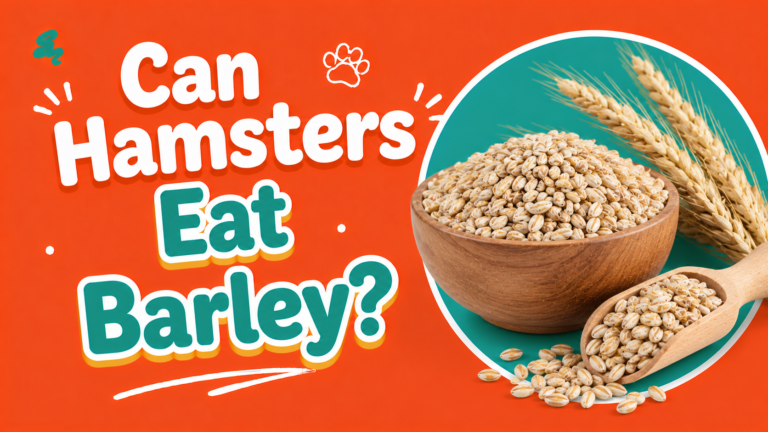 Can Hamsters Eat Barley?