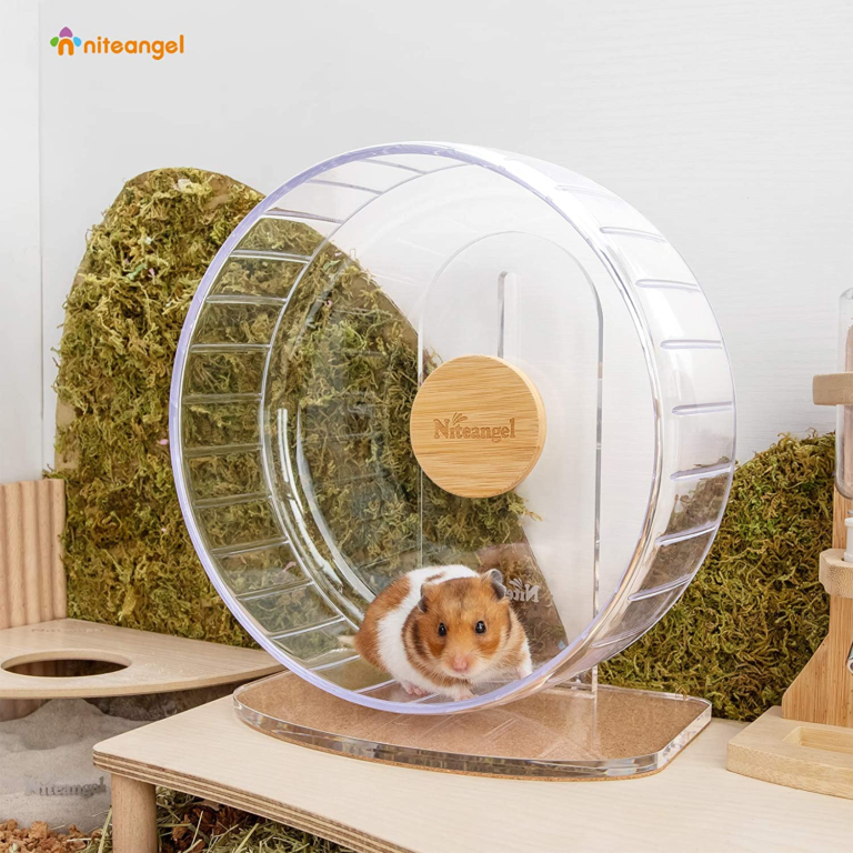 Niteangel Silent Hamster Wheel Review: Is It Worth Buying?