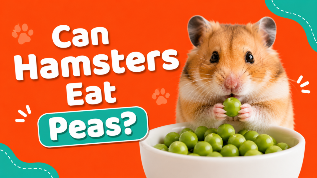 Can Hamsters Eat Peas?