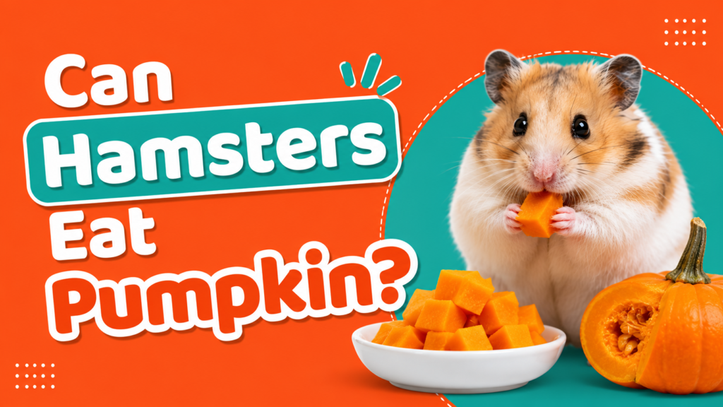 Can Hamsters Eat Pumpkin?