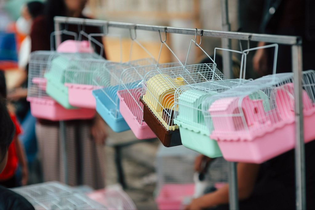 Hamster cage size requirements