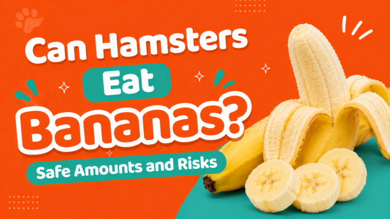 Can Hamsters Eat Bananas? Safe Amounts and Risks